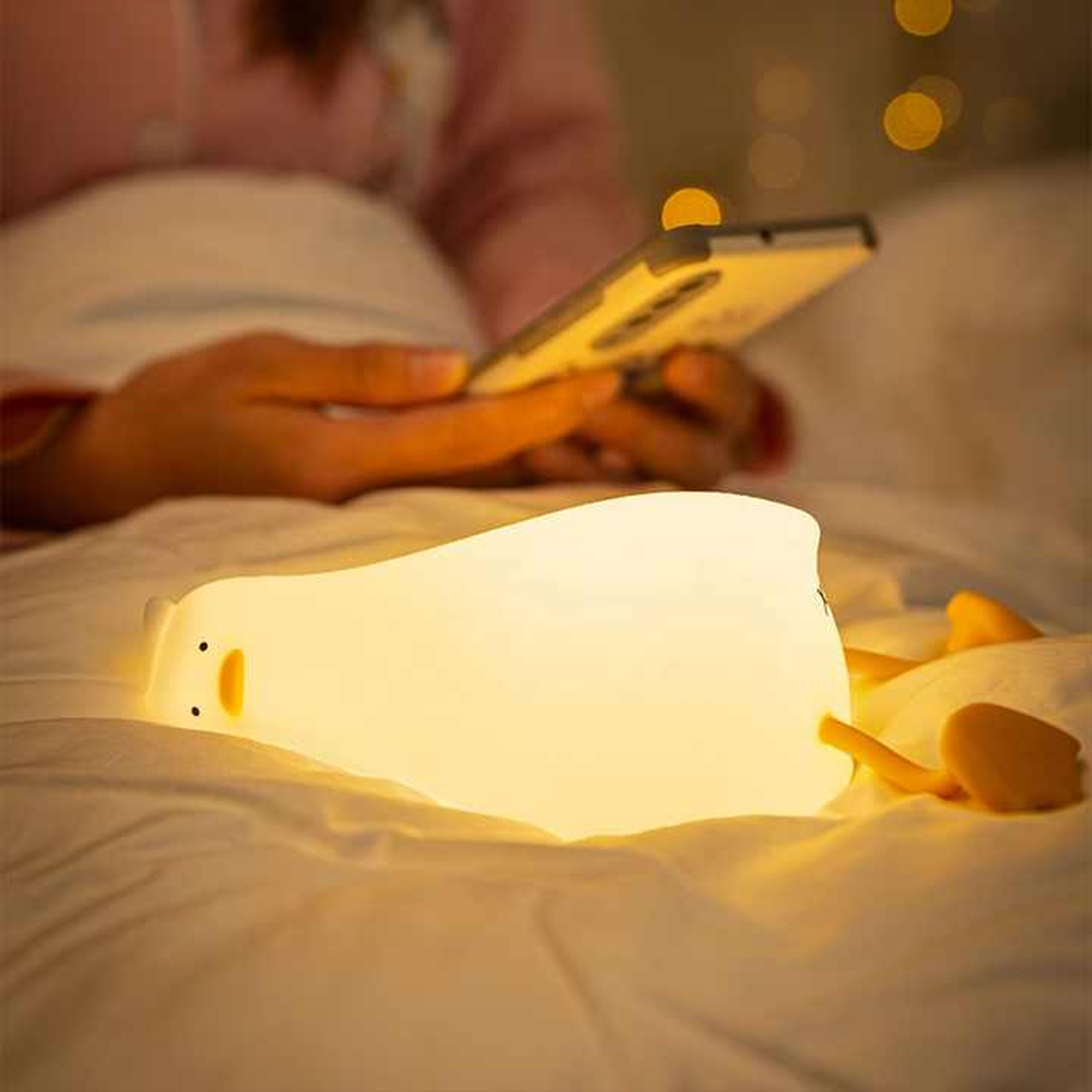 هدية بطوط - الصورة 7